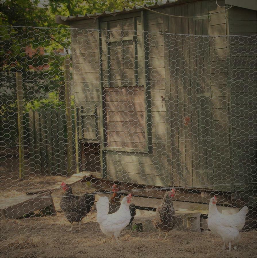 Forest Farm Papplewick Nottingham - Spacious Self-Contained Rural Retreat! Eksteriør bilde